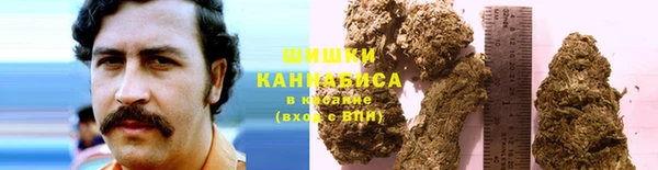 mdpv Няндома