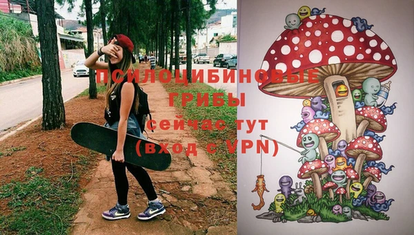 первитин Нягань