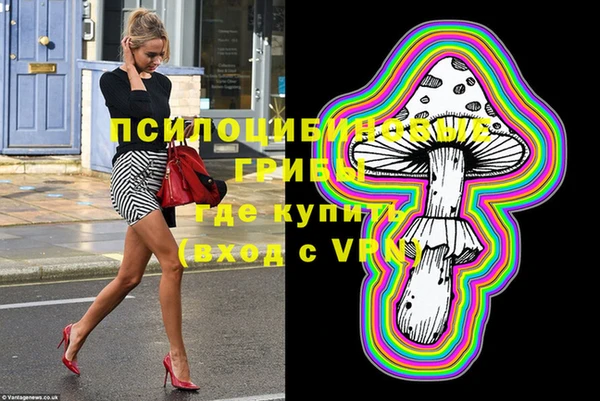 mdpv Няндома