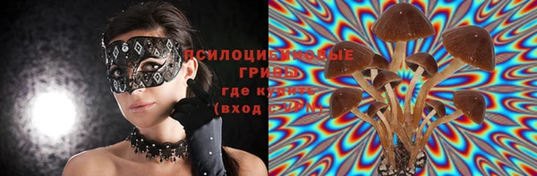 первитин Нягань